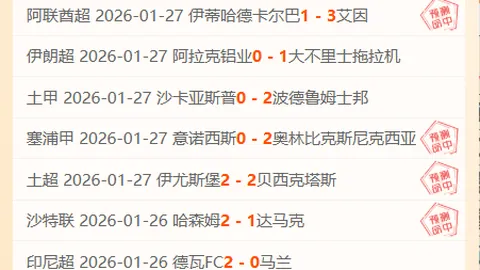 拉贾科维奇与猛龙续约至2026-27赛季